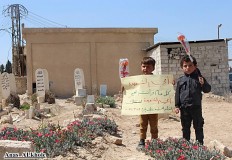 الأم في المرج 3