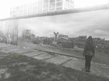 13626457_1624871187825349_3803182791595273597_n