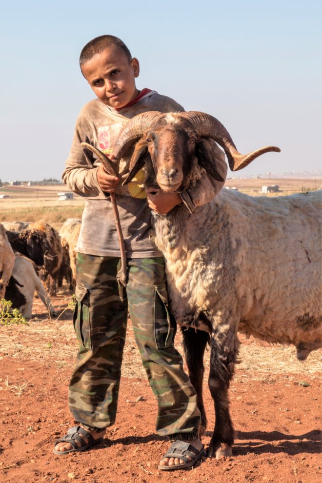 طفولة اغتصبتها ذئاب الحرب - صدى الشام