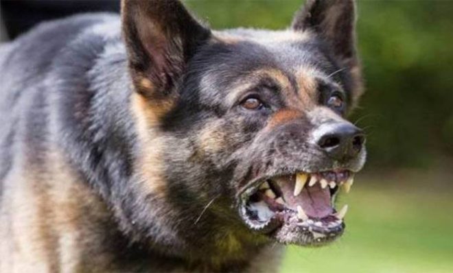 صورة تعبيرية